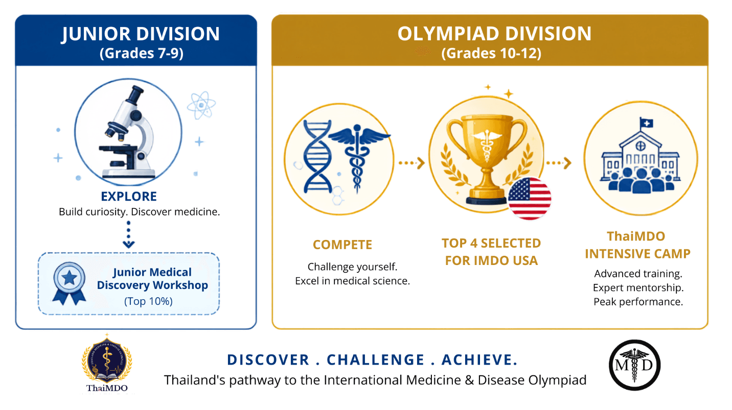 ThaiMDO pathway diagram. Junior Division for Grades 7 to 9: Explore — build curiosity, discover medicine — leading to the Junior Medical Discovery Workshop for the top 10 percent. Olympiad Division for Grades 10 to 12: Compete, then top 4 selected for IMDO USA, then the ThaiMDO Intensive Camp.